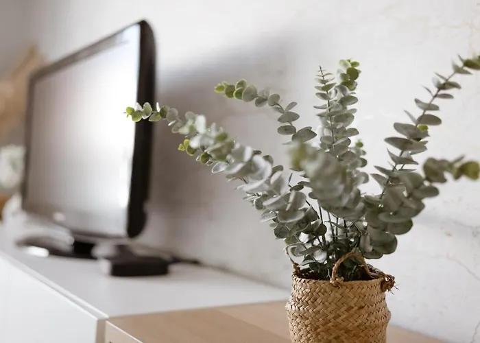 アパート Panoramic Mar