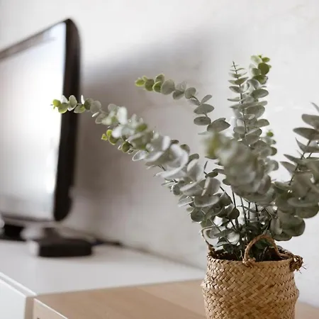 Apartment Panoramic Mar